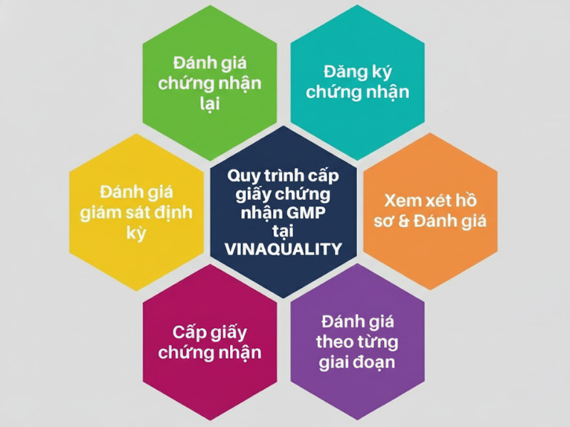 Quy trình cấp chứng nhận GMP
