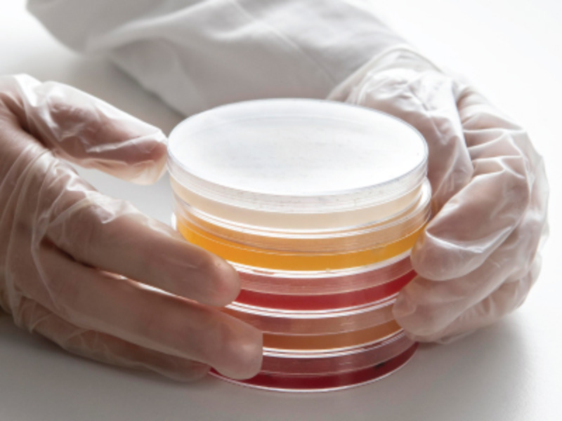 Lấy mẫu không khí chủ động