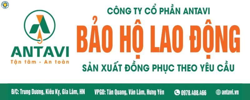 Công ty Cổ phần ANTAVI